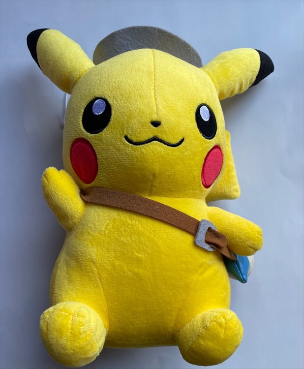 pokemon 30cm plush