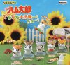 Hamtaro - Capsule Figure 01 SINGLE BLIND BOX