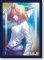 Trading Card Sleeve - Platinum Grade Melty Blood Arcueid Sleeve