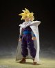 Dragon Ball Z - Son Gohan Warrior who Supassed Goku S.H.Figuarts