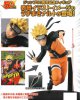 Naruto Shippuden - Shonen Jump 50th Anniversary Naruto Prize Figure