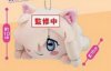 Kemono Friends - Alpaca Suri Small Plush 