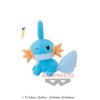 Pokemon - Mudkip 23cm Plush