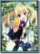 Trading Card Sleeve - Bushi Road Sleeve Collection HG Vol. 86 Gurizaia no Kajitsu - Matushima Michiru