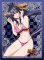 Chara Sleeve Collection Mat Series MT018 - High School DxD New - Akeno Himejima