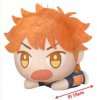 Haikyuu 2 - Shoyo Hinata Plush