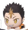 Haikyuu 2 - Yu Nishinoya Plush