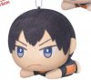 Haikyuu 2 - Tobio Kageyama Plush