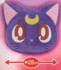 Sailor Moon- Luna Plush