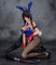 Ikki Tousen Shuugaku Toushi Keppuroku - 1/4 Unchou Kanu Blue Bunny Suit PVC Figure