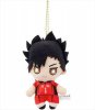 Haikyuu - Tetsuro Kuroo 12cm Plush