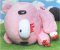 Gloomy Bear - XL Gloomy Bear Plush Pink