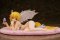 Sora no Otoshimono Angeloid of Clockwork - 1/7 Astraea Swimswuit ver. 2.0 Figure