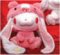 Gloomy Bear - Gloomy Bear 6th Anniversary Rabbit Plush