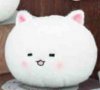 Is the order a rabbit - Tippy Plush C