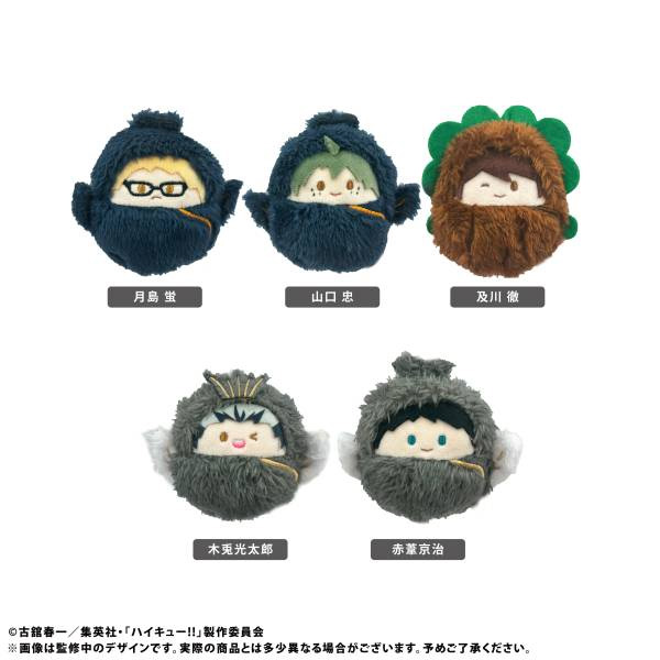 Haikyuu!! - Kurumi Tapinui Vol. 2 SINGLE BLIND BOX Haikyuu!! - Kurumi Tapinui Vol. 2 SINGLE BLIND BOX