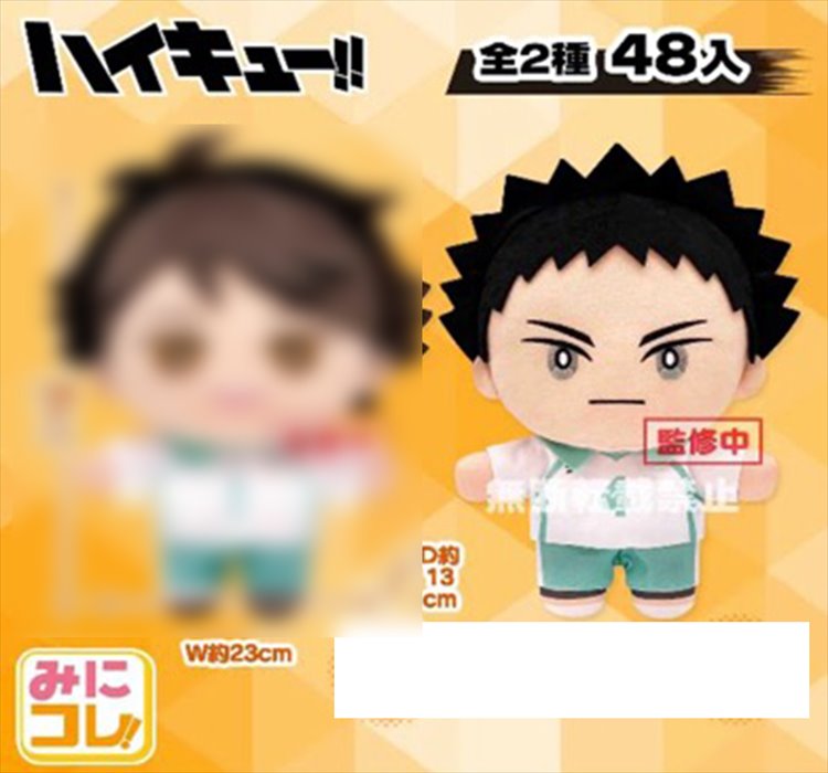 Haikyuu - Hajime Iwaizumi 32cm Plush